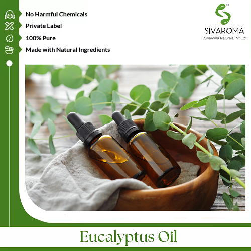 Eucalyptus Oil - Age Group: All Age Group