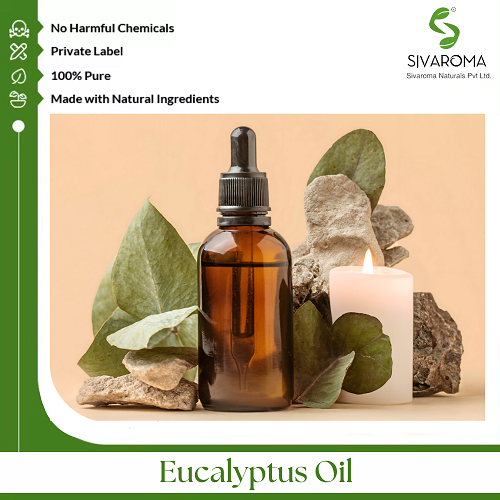 Eucalyptus Oil - Age Group: All Age Group