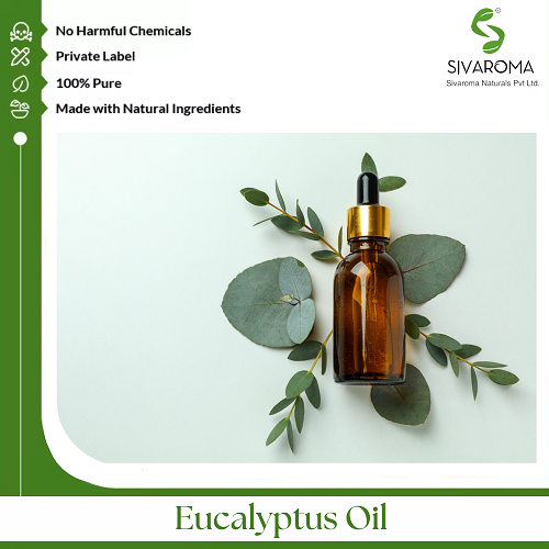 Eucalyptus Oil - Age Group: All Age Group