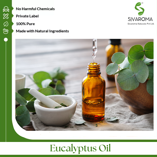 Eucalyptus Oil - Age Group: All Age Group