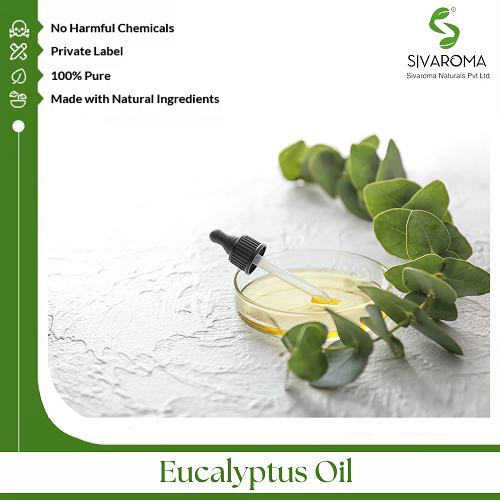 Eucalyptus Oil - Age Group: All Age Group