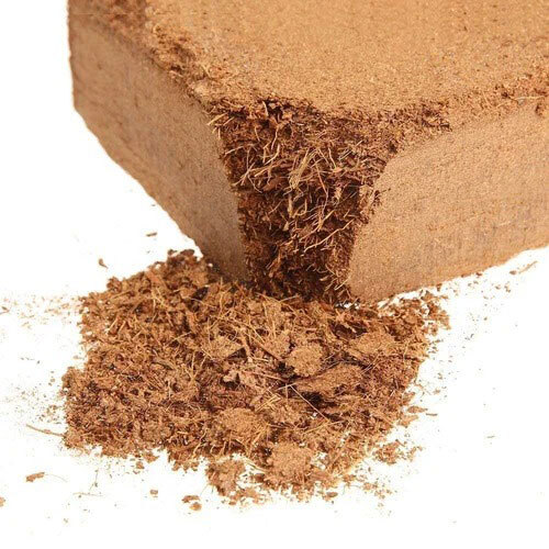 Coco Fibre