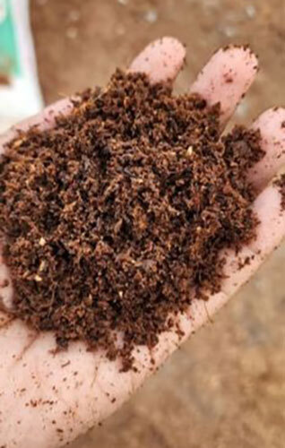 Coco Coir
