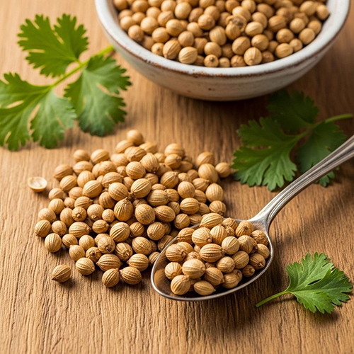 Coriander Seeds