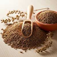 Cumin Seeds