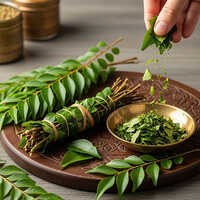 Curry Leaves