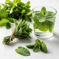 Mint Leaves