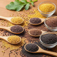 Mustard Seeds
