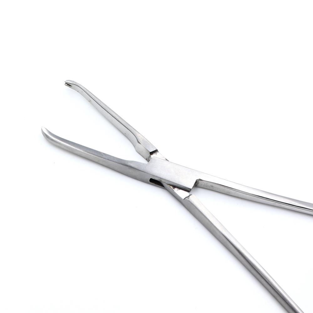 Single Tooth Allis Tissue Forcep 8 Inch - Material: Steel