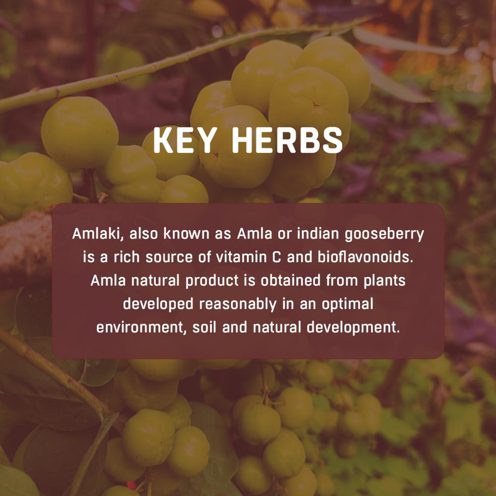 Amlaki Tablets - Age Group: For Adults