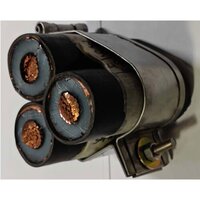 Single And Trefoil Cleat Of Panduit Type Ss316