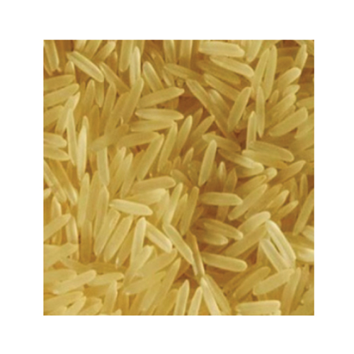 Golden Sella Non Basmati Rice - Cultivation Type: Organic