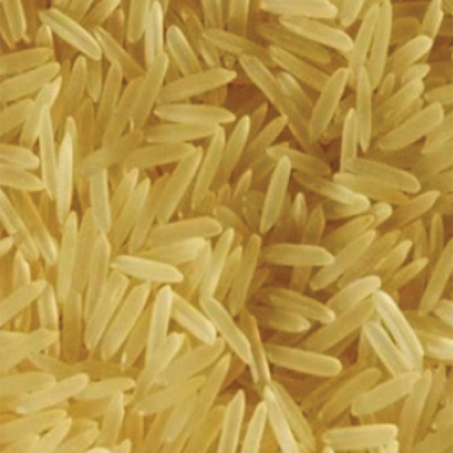 Golden Sella Basmati Rice - Long Grain, Golden Color | Organic, 99% Purity, Sun-Dried & Machine-Dried, Aromatic Culinary Choice