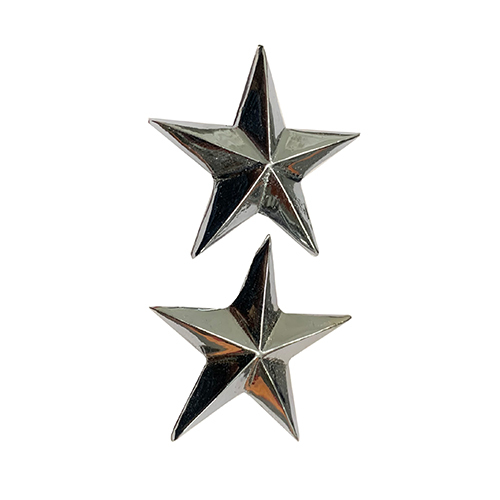 Star Badge
