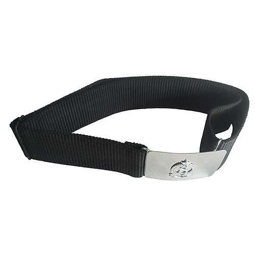 Security Belt