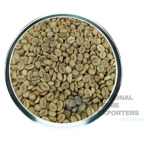 Robusta PL AA Coffee Beans