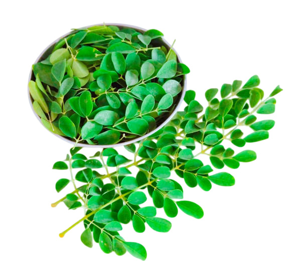 Moringa Leaves