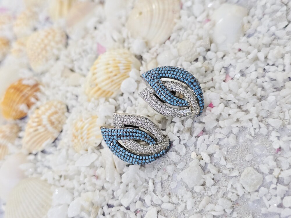 Silver Earrings With Ad - Color: Multicolor