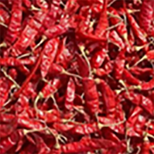 Red Chillies - Grade: Food