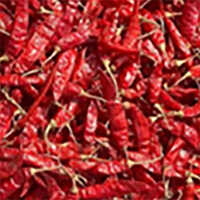 Red Chillies