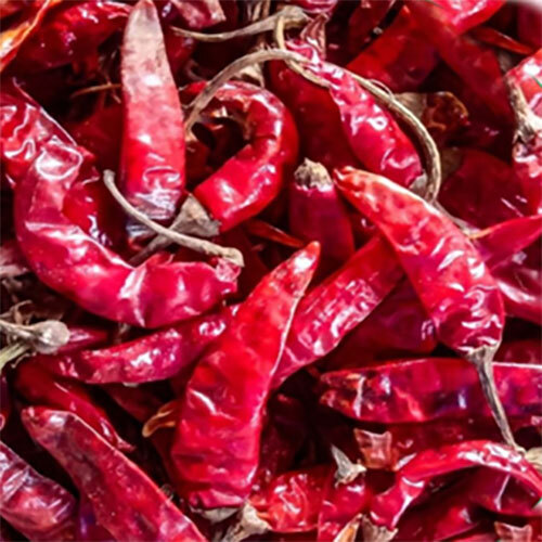 Teja S-17 Dried Red Chillies - Grade: Food