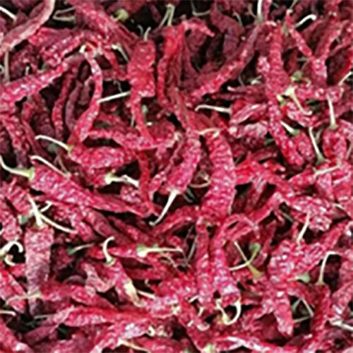 Byadagi Dried Red Chillies