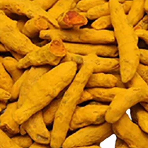 Alleppey Turmeric Finger - Color: Yellow