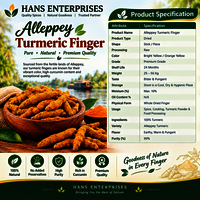 Alleppey Turmeric Finger - Color: Yellow