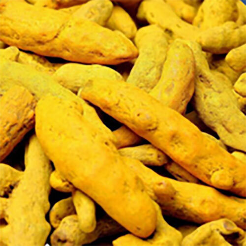Turmeric Fingers