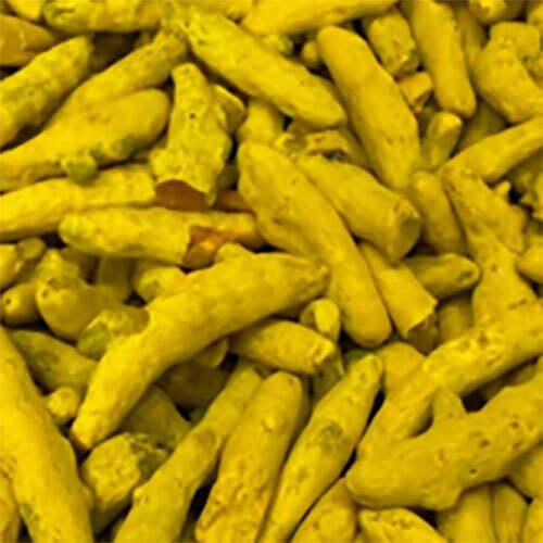 Nizamabad Turmeric Finger - Color: Yellow