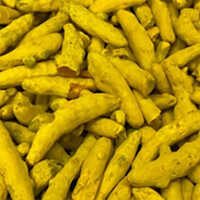 Nizamabad Turmeric Finger