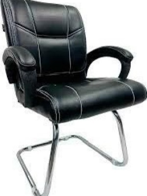 Rfroyalz 84 Visitor Chair - Material: Stainsteel