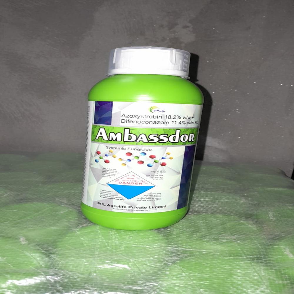 AMBASSDOR.