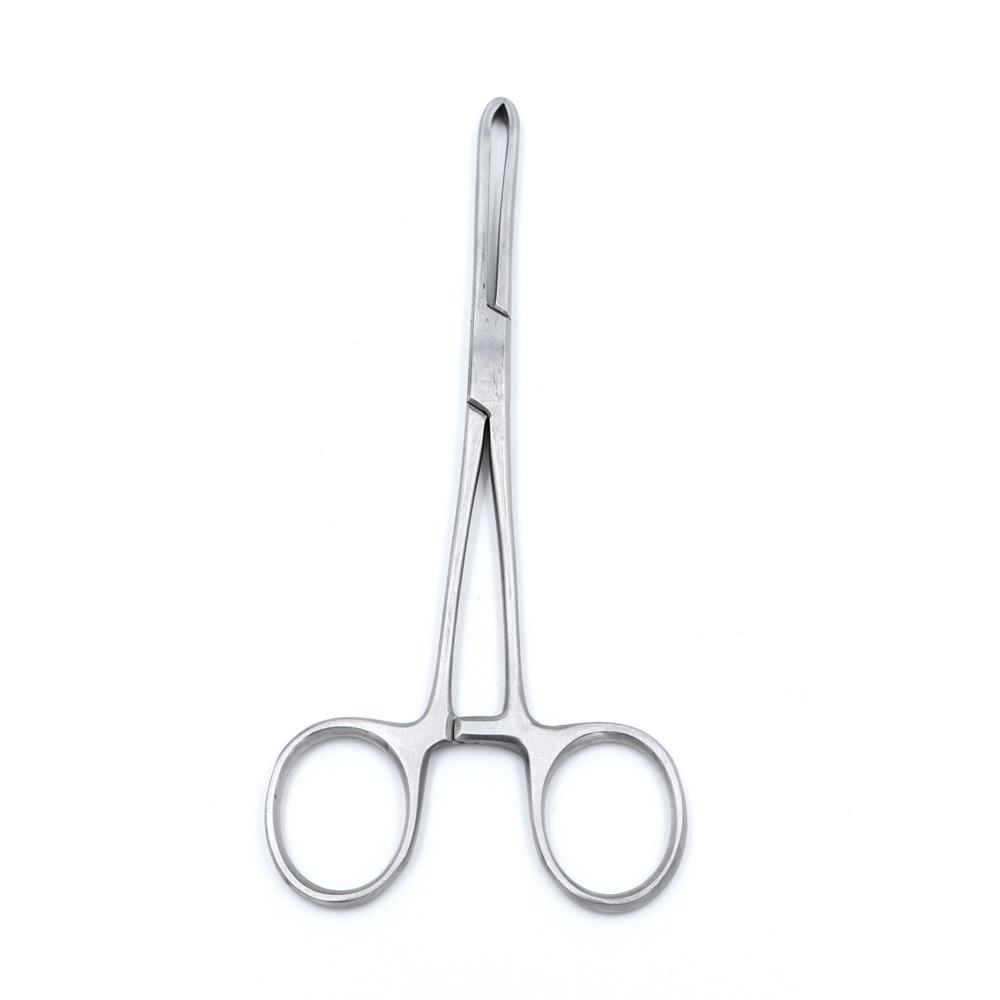 Single Tooth Allis Tissue Forcep 6 Inch - Material: Steel