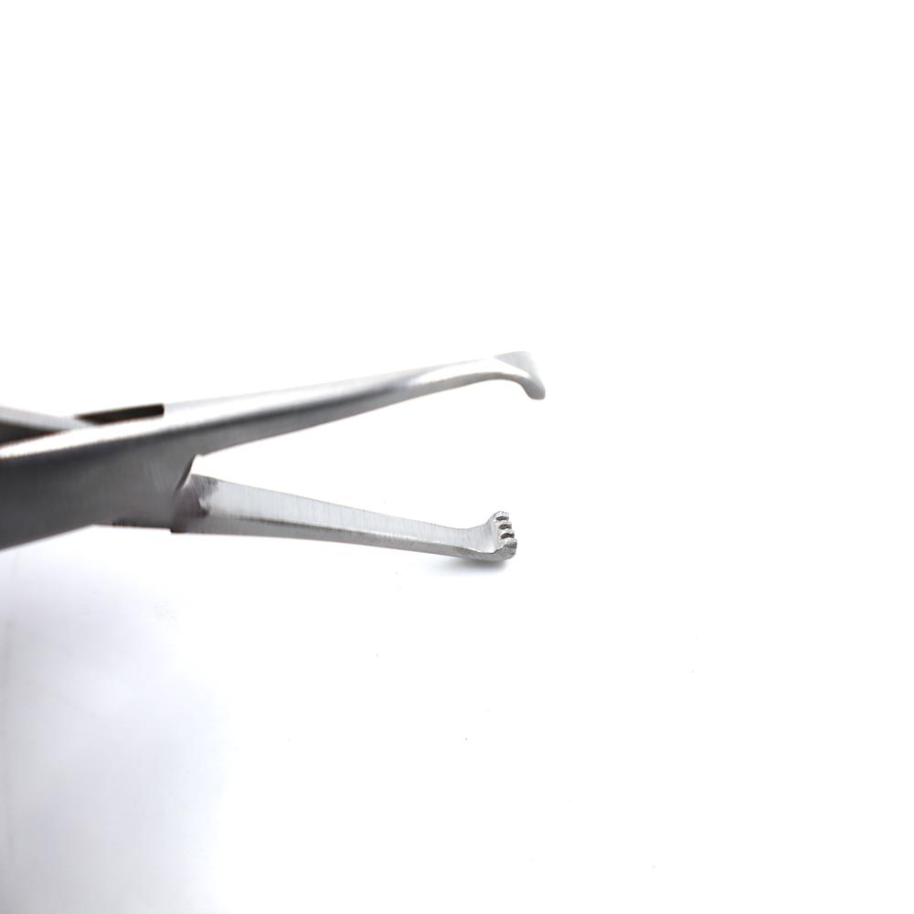 Allis Tissue Forcep 6 Inch - Material: Steel