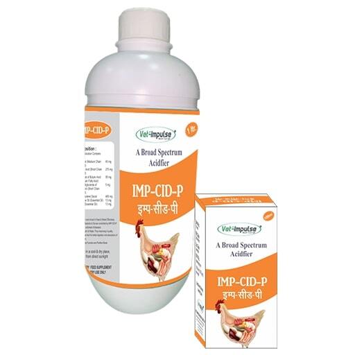 Imp Cid P - Color: Multiple