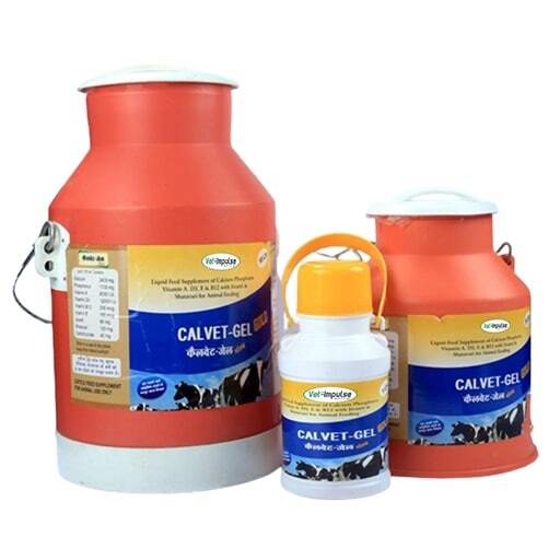 Calvet Gel Gold