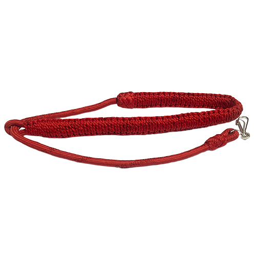 Andhra Pradesh Police ( RED ST)