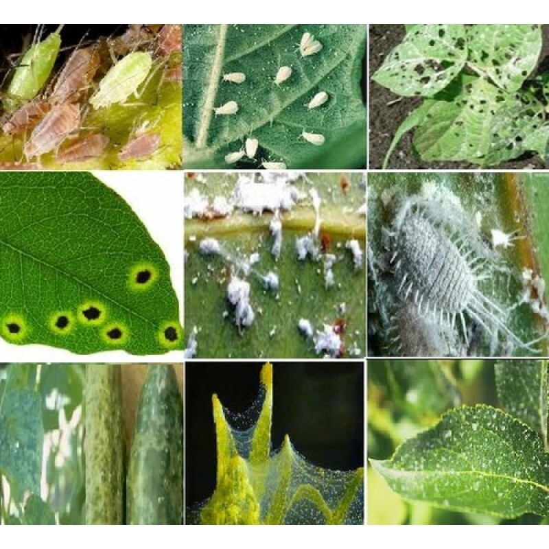 Agro Biopesticides - Grade: Commercial