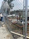Galvanized Iron Chain Link Fencing - Application: Sports Complex