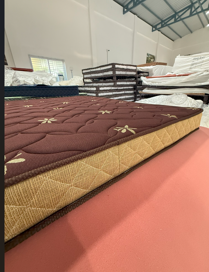 Single Coir Bed - Color: Customized
