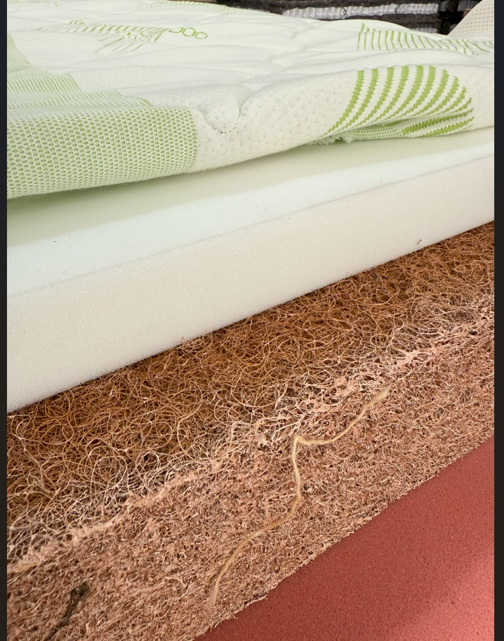 Single Coir Bed - Color: Customized
