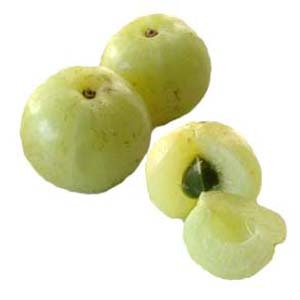 Emblica Officinalis Extract