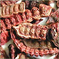 Acacia Concinna Extract