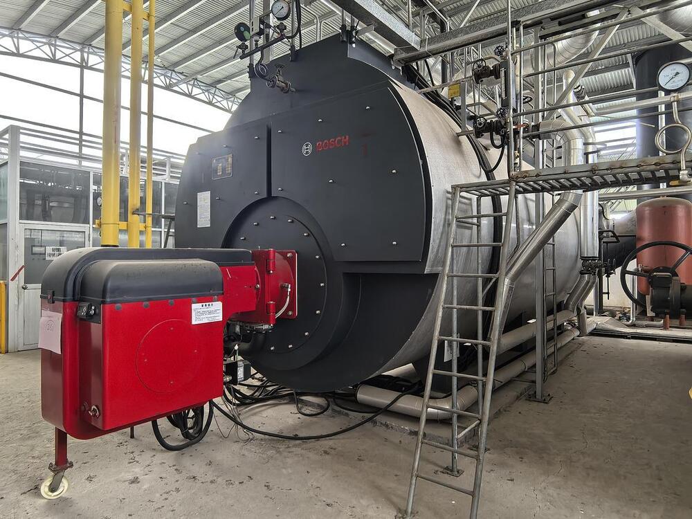 Bosch Steam Bolier For Fabric