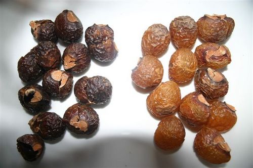 Soap Nut Extract