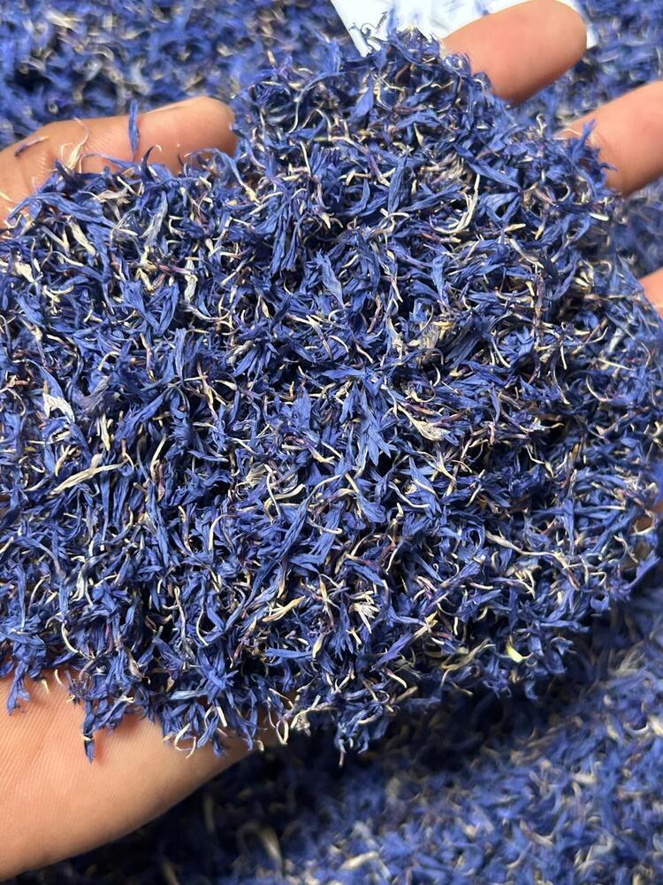 Blue Corn - Age Group: For Adults