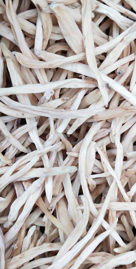 Safed Musli - Age Group: For Adults