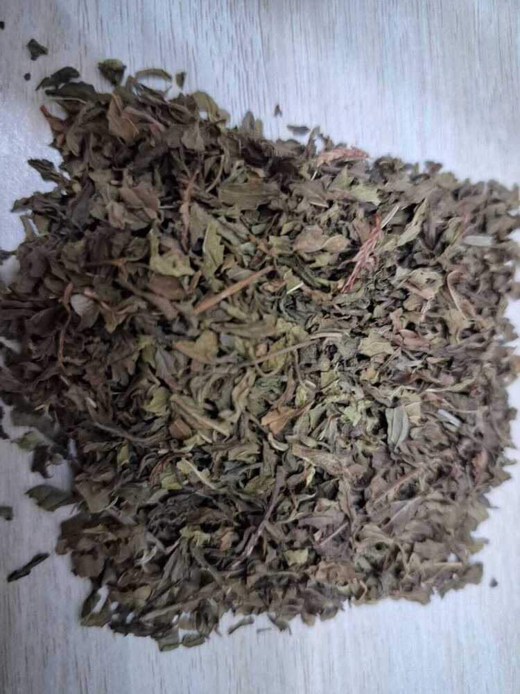 Dry Spearmint - Age Group: For Adults