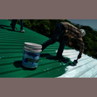 Heat Reflective Paint